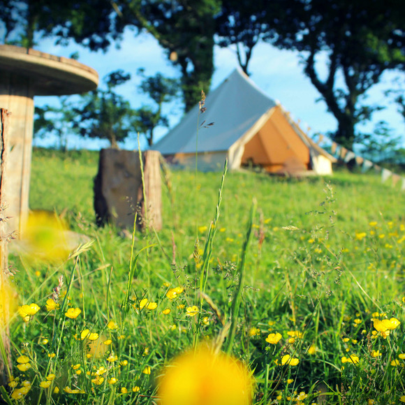 Bell tent camping near Milford Haven, Pembrokeshire 