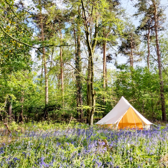 Springtime bell tent camping in the South Downs