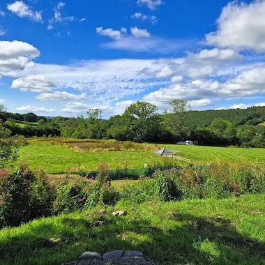 Camping in a meadow on a sunny day on the outskirts of Llanybydder, west Wales.